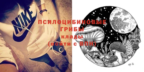 твердый Алзамай