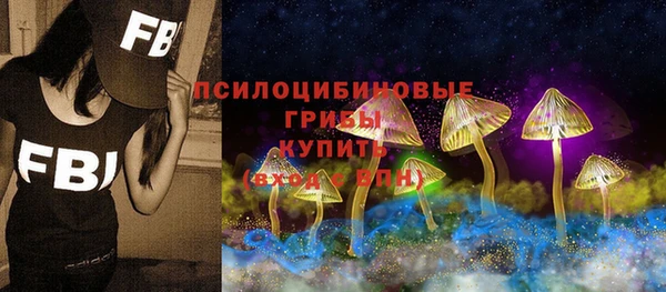 твердый Алзамай