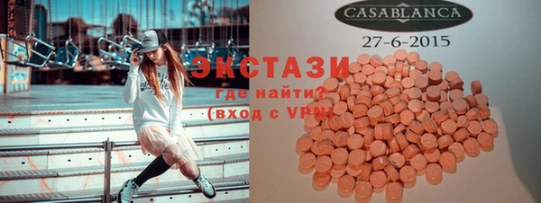 МДПВ Каменка