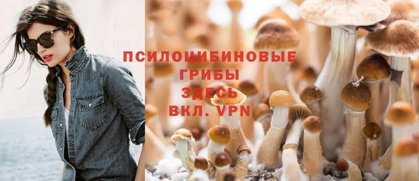 твердый Алзамай