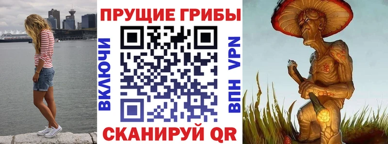 МЕГА маркетплейс  Белоозёрский  даркнет какой сайт  Псилоцибиновые грибы Psilocybe 